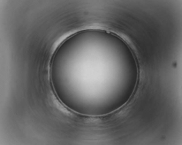 X0000110931238200906251326