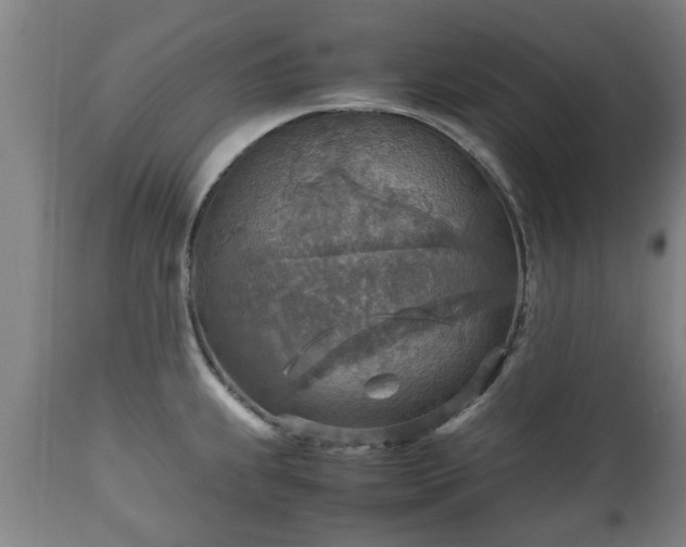 X0000110931239200906251326
