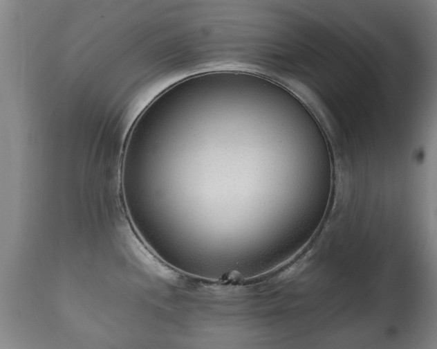X0000110931244200906251326