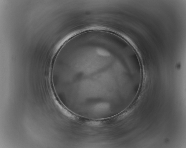 X0000110931245200906251326