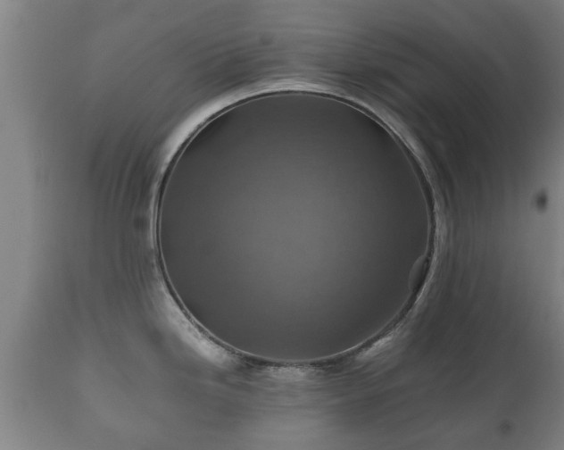 X0000110931246200906251326