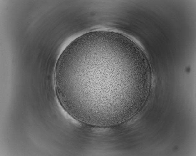 X0000110931247200906251326