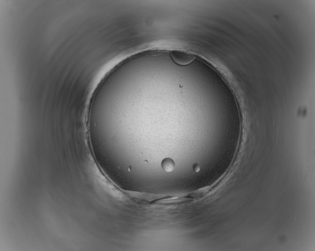 X0000110931248200906251326