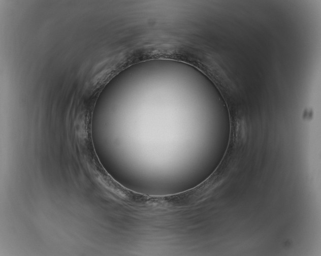 X0000110931250200906251325