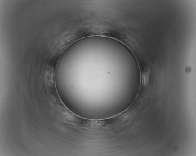 X0000110931251200906251325