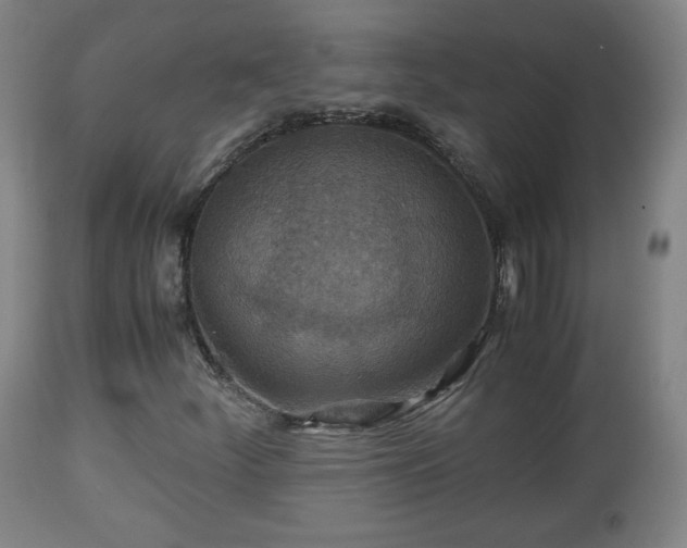 X0000110931252200906251325