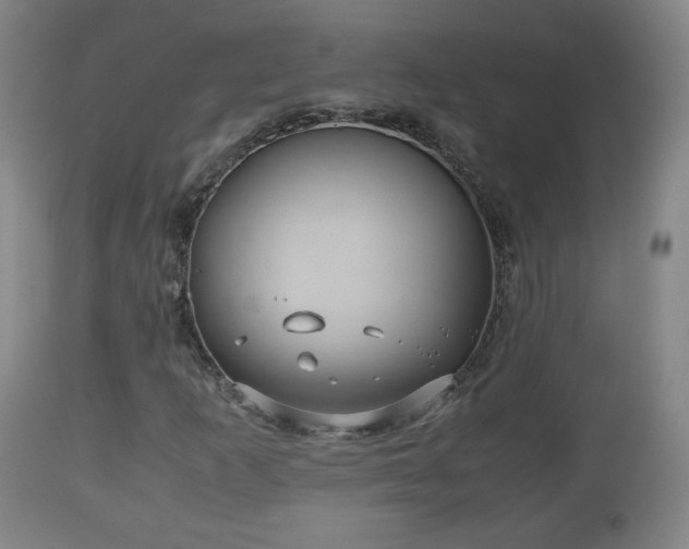 X0000110931253200906251325
