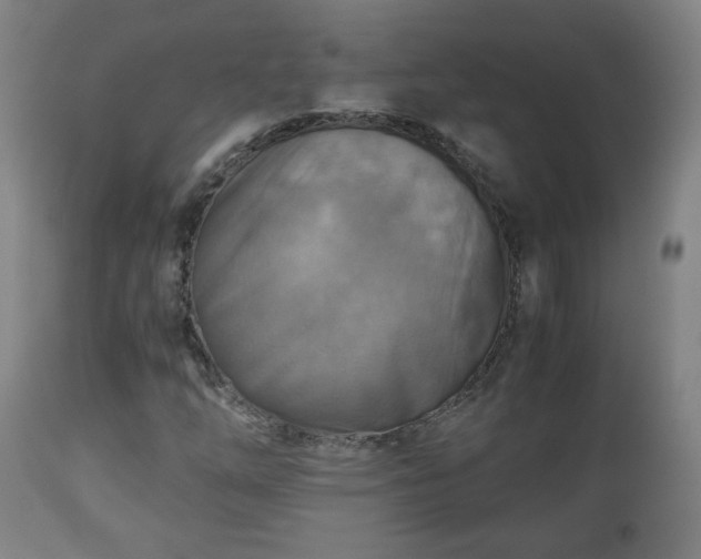 X0000110931254200906251325