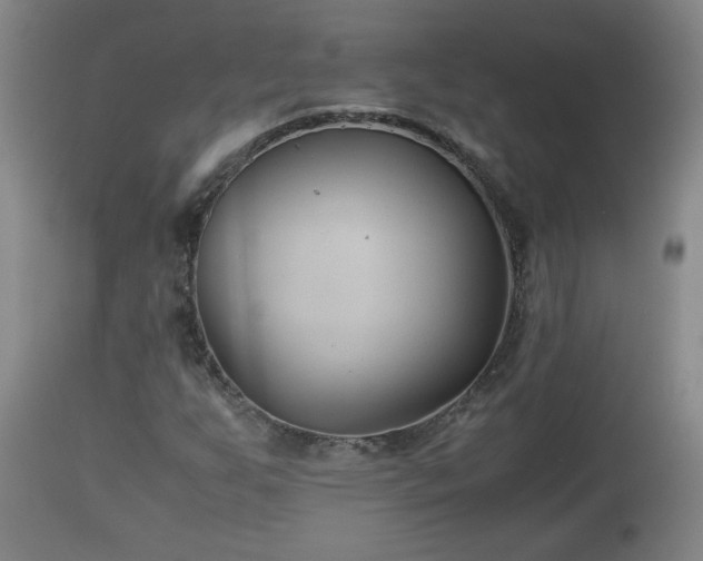 X0000110931255200906251325