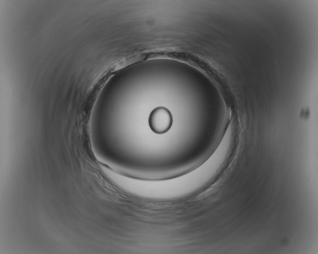 X0000110931257200906251325