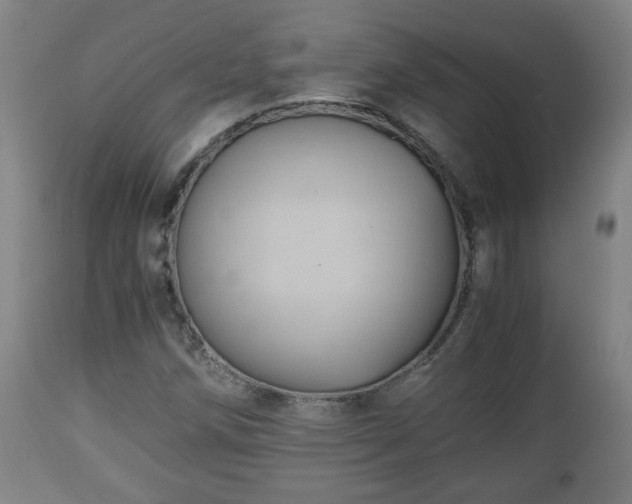 X0000110931258200906251325