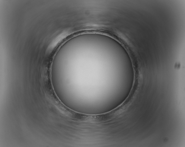 X0000110931259200906251325