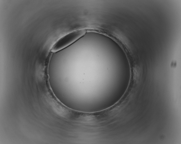 X0000110931260200906251325