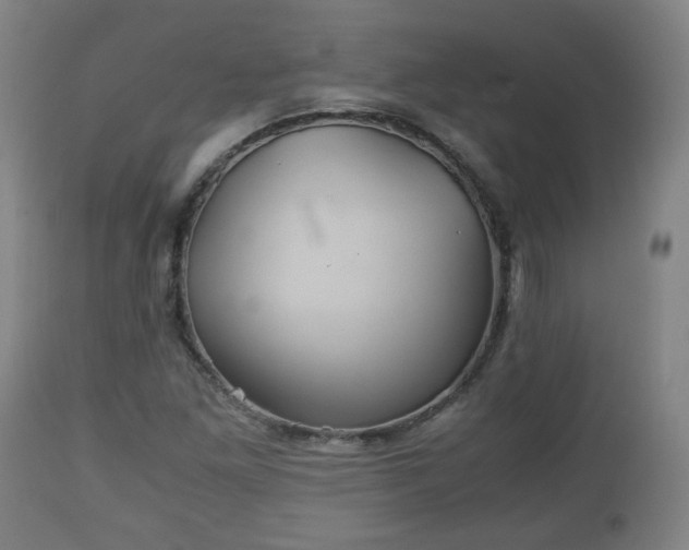 X0000110931261200906251325
