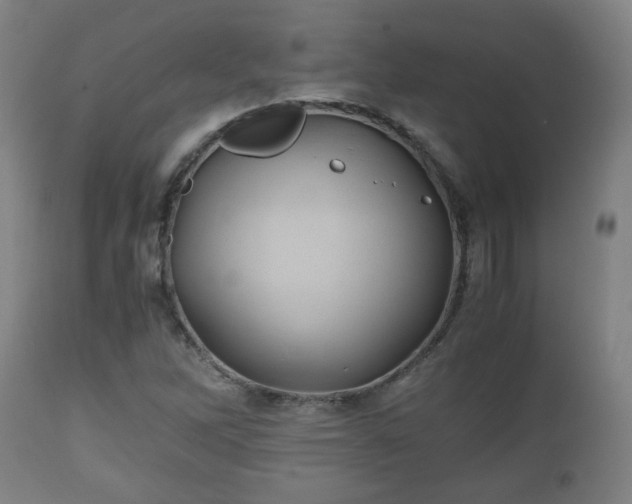 X0000110931262200906251325
