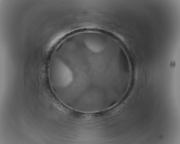 X0000110931263200906251325