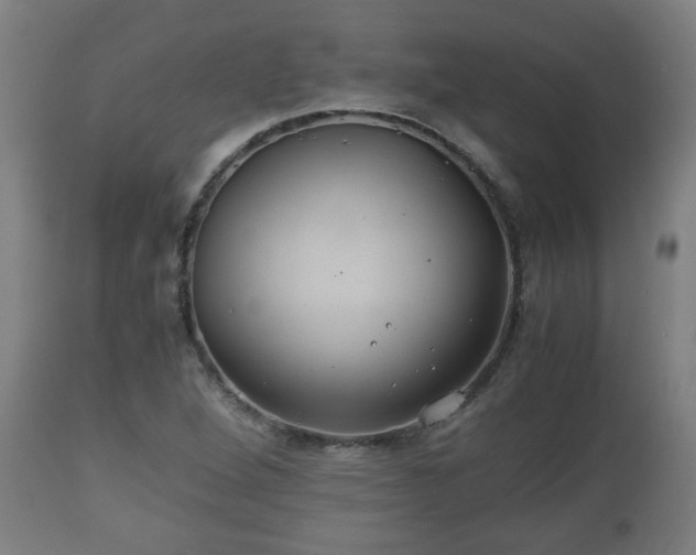 X0000110931264200906251325