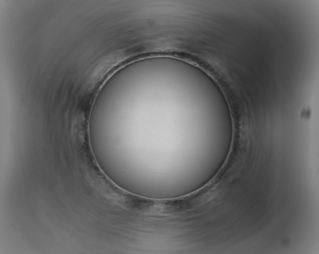 X0000110931265200906251325