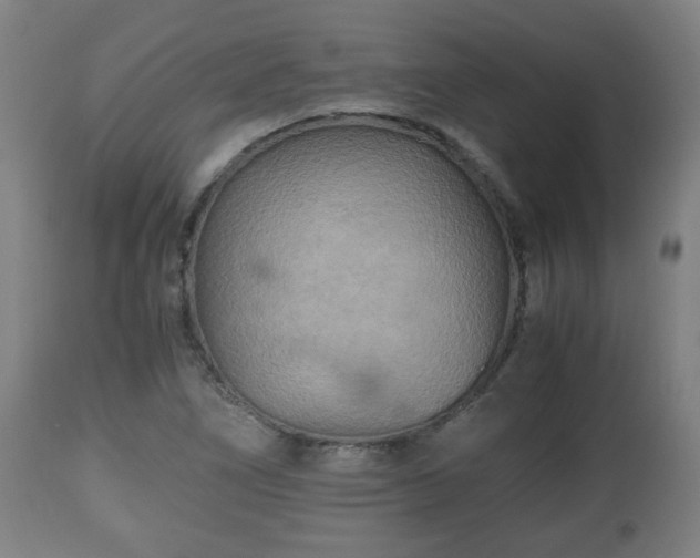 X0000110931266200906251325