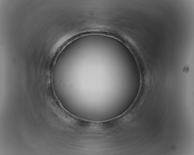 X0000110931267200906251325
