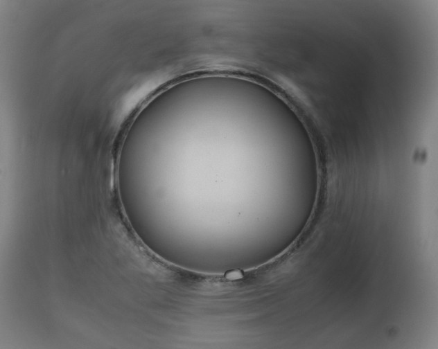 X0000110931269200906251325