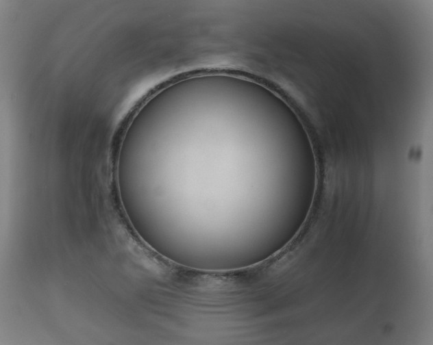 X0000110931270200906251325