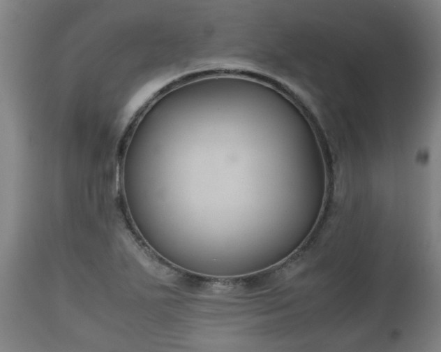 X0000110931271200906251325