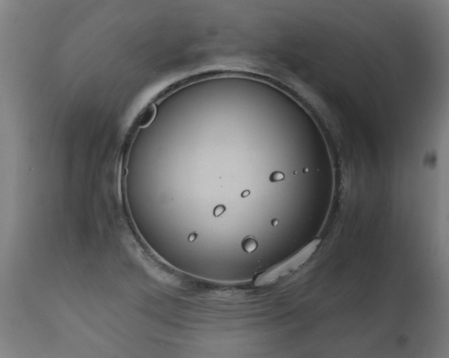 X0000110931272200906251325
