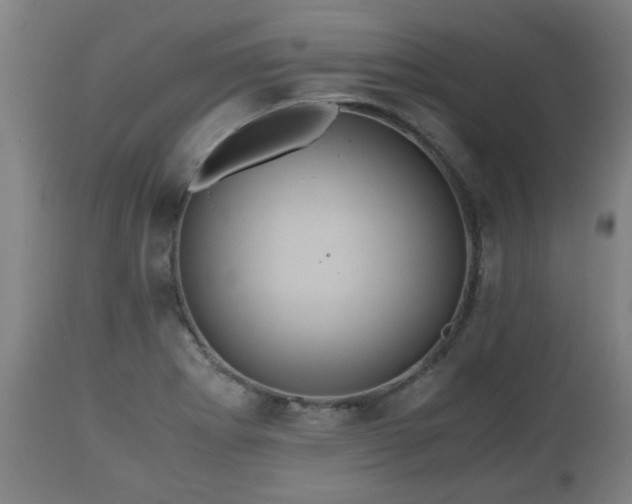 X0000110931273200906251325