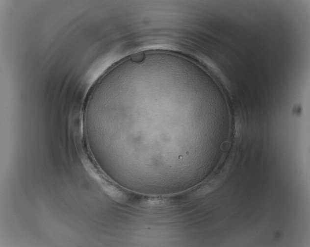 X0000110931274200906251325