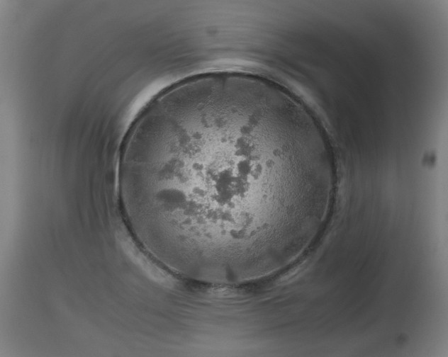 X0000110931275200906251325