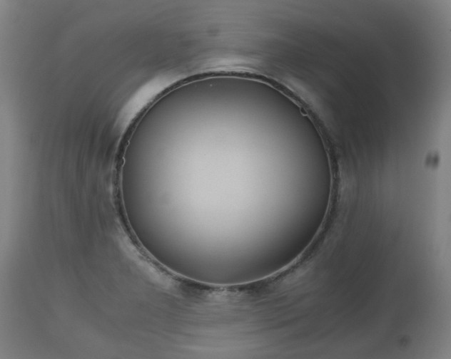 X0000110931277200906251325