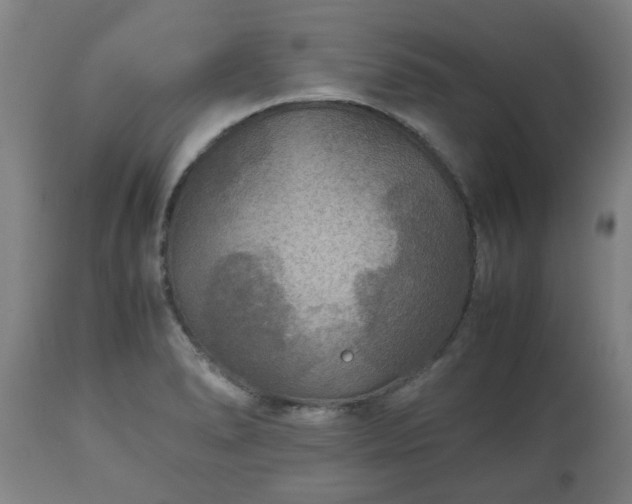 X0000110931278200906251325