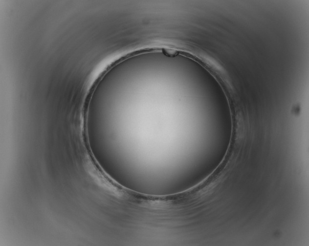 X0000110931280200906251325