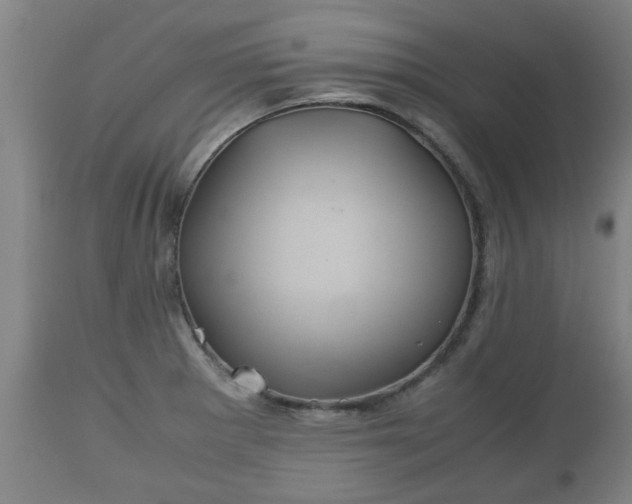 X0000110931281200906251325