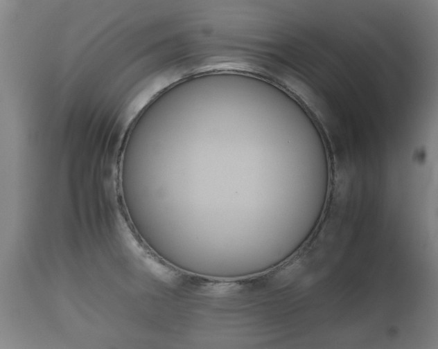 X0000110931282200906251325