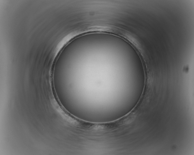 X0000110931283200906251325