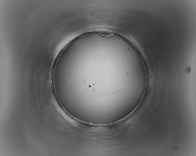 X0000110931285200906251325