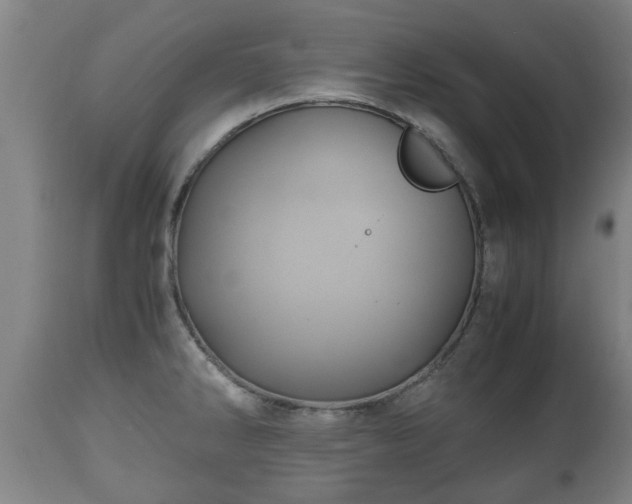 X0000110931286200906251325