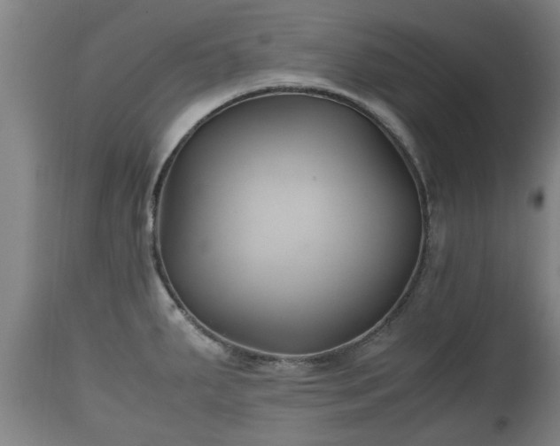 X0000110931287200906251325