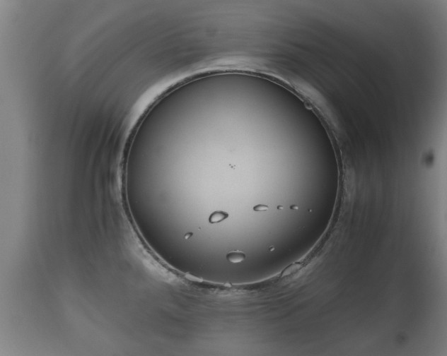 X0000110931288200906251324