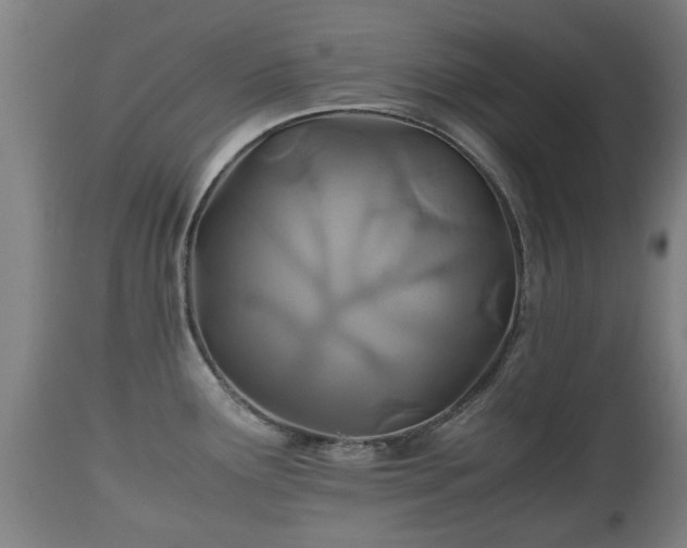 X0000110931291200906251324