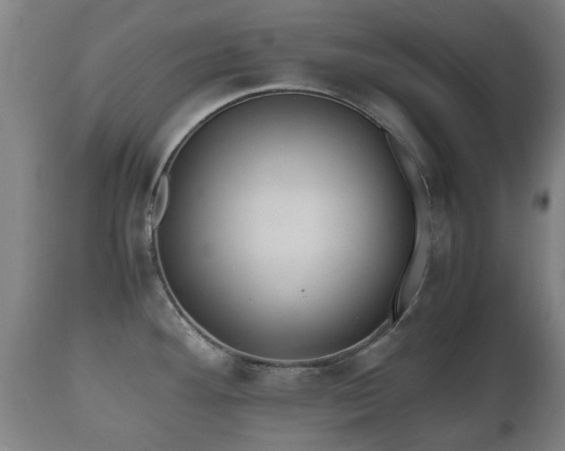 X0000110931292200906251324