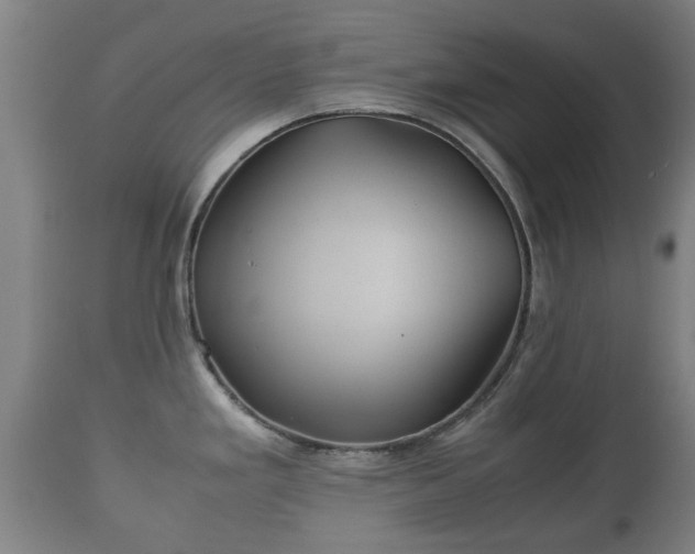 X0000110931293200906251324