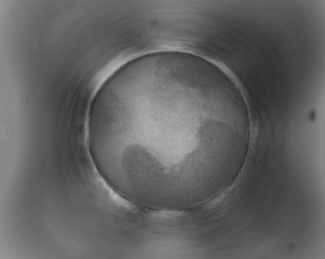 X0000110931294200906251324