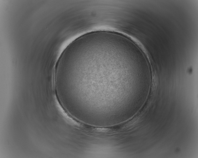 X0000110931295200906251324