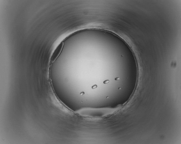 X0000110931296200906251324