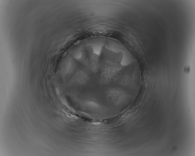 X0000110931297200906251324