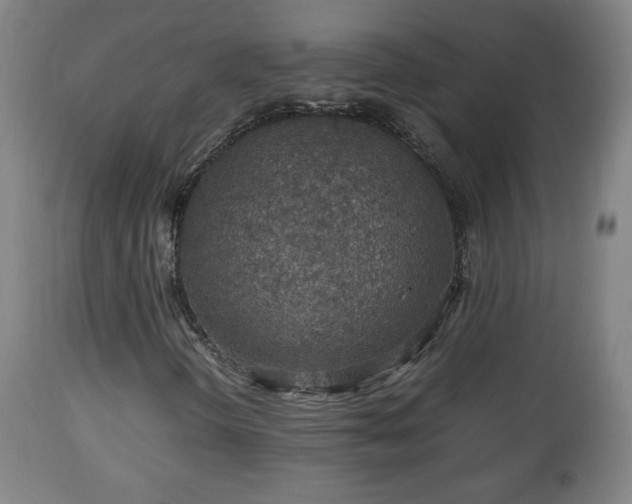 X0000110931298200906251324