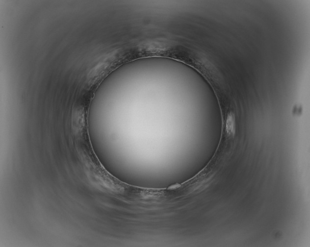 X0000110931299200906251324